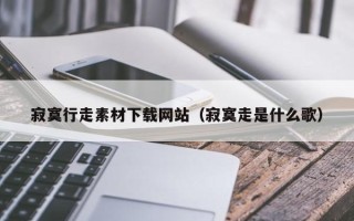 珠海寂寞行走素材下载网站（寂寞走是什么歌）